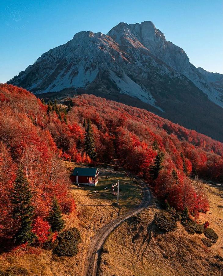 Mountain House Komovi-Radunovic Andrijevica Bagian luar foto