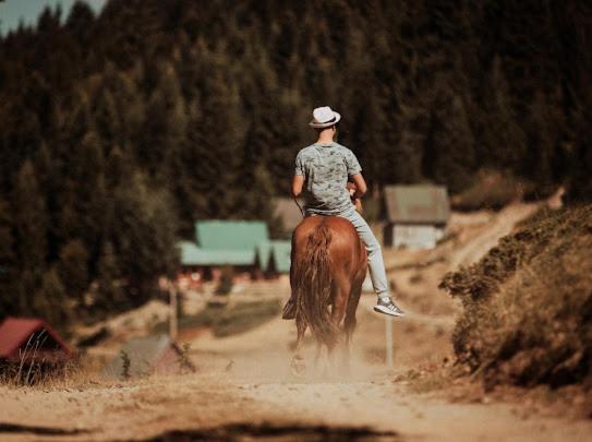 Mountain House Komovi-Radunovic Andrijevica Bagian luar foto