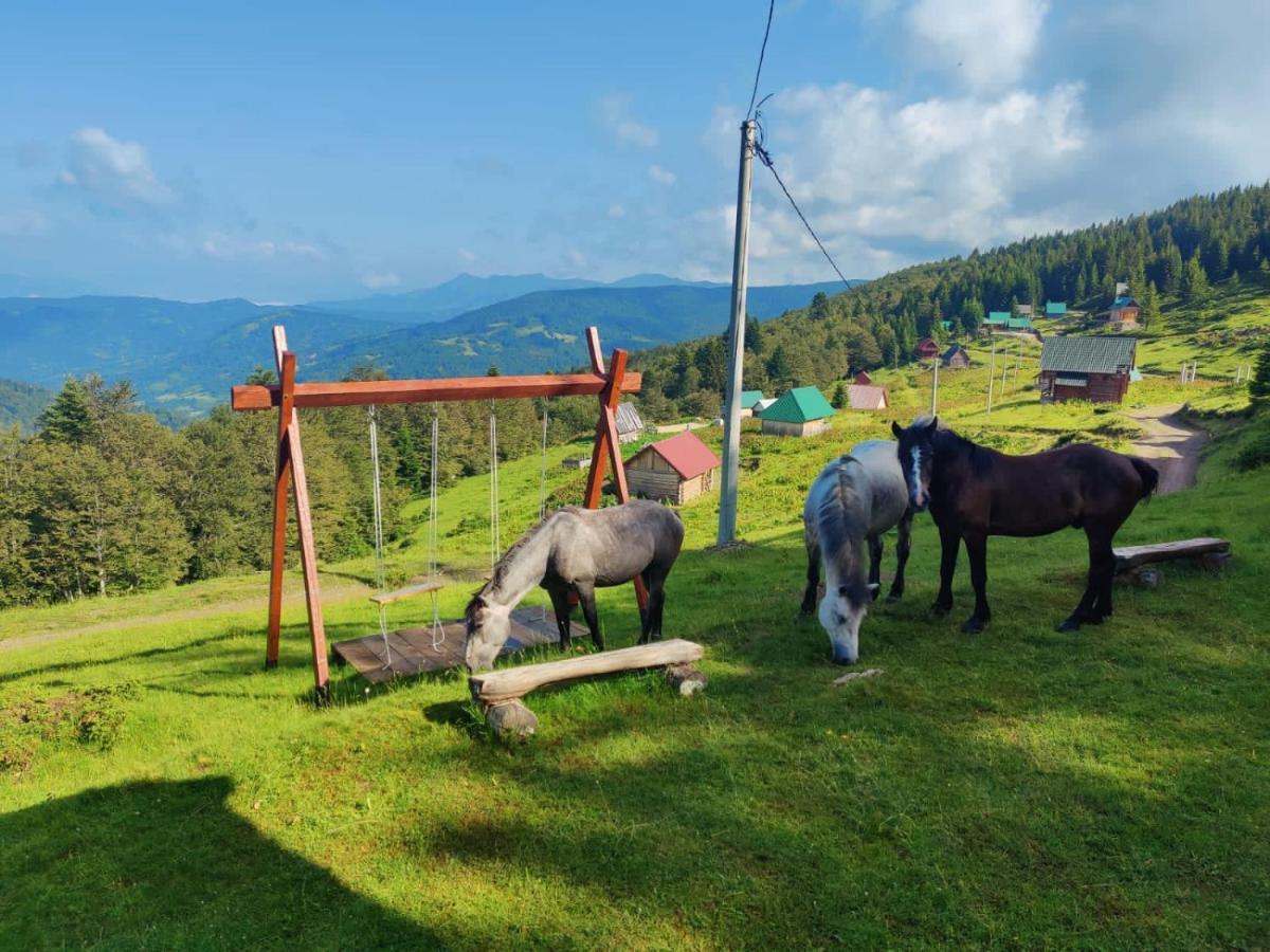 Mountain House Komovi-Radunovic Andrijevica Bagian luar foto