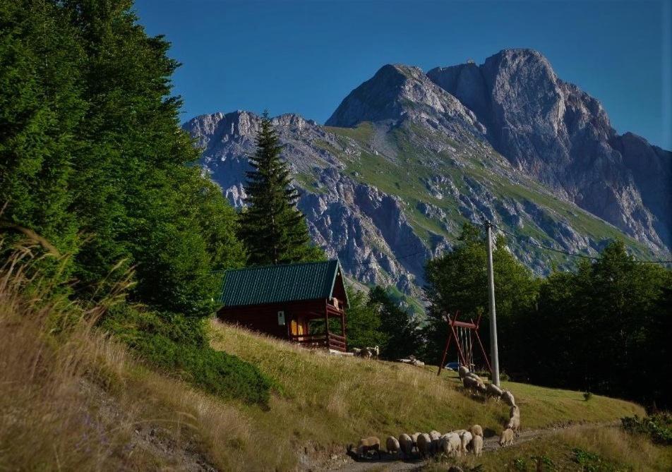 Mountain House Komovi-Radunovic Andrijevica Bagian luar foto